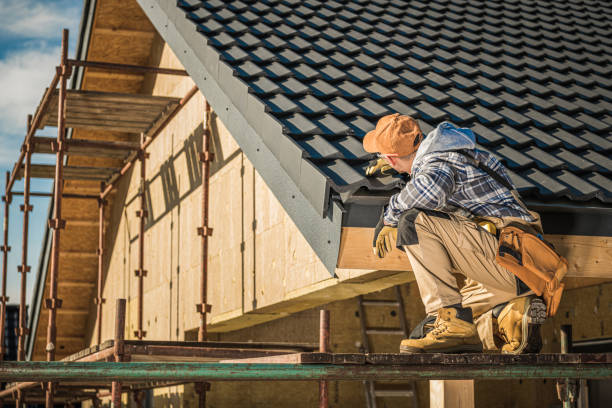 Best Gutter Installation and Roofing  in Camden, SC