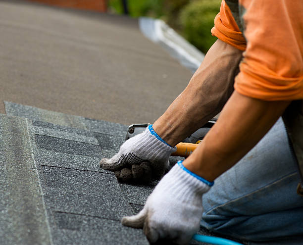 Gutter Installation and Roofing in Camden, SC